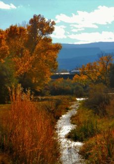 Contact-1471872_10202175163810830_1031417898_n